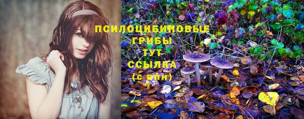 каннабис Баксан