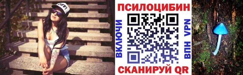 цены   Котельниково  Псилоцибиновые грибы Psilocybe 